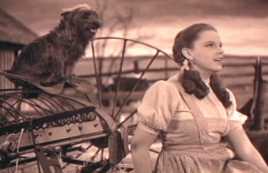 dorothy.jpg